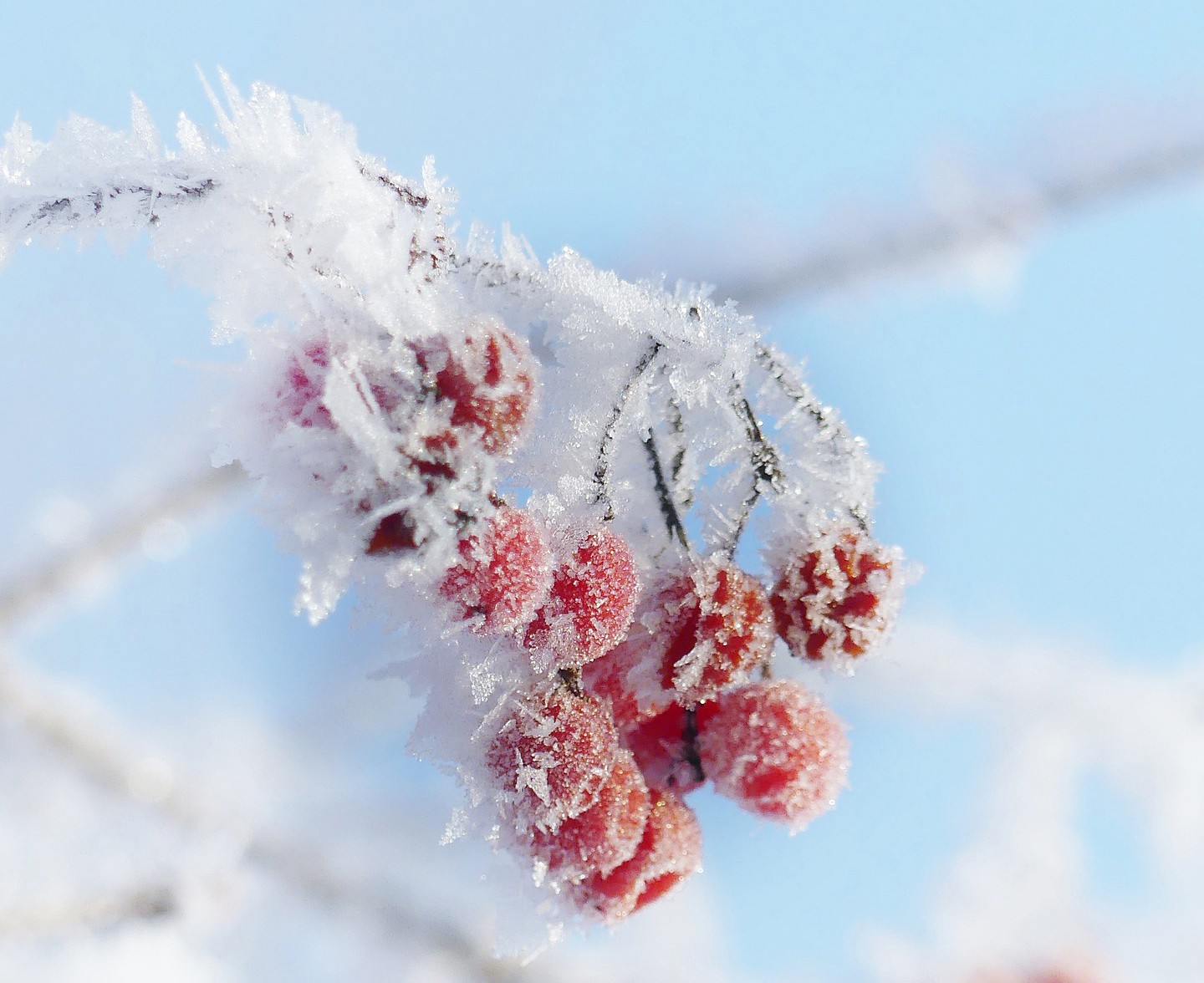 令和八年  新年のご挨拶